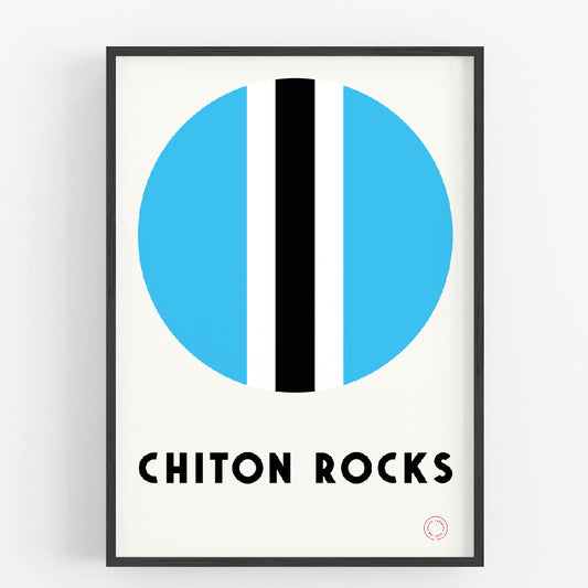 Chiton